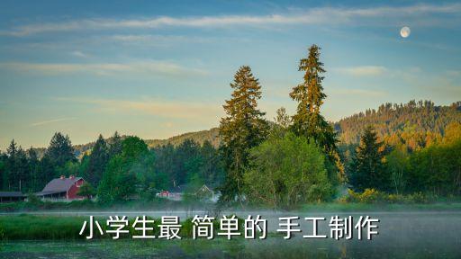 簡單的小手工,廢紙箱變賽車!小學生動手制作竹竿和竹葉組合