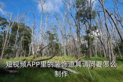 短視頻APP里的裝飾道具請問要怎么制作
