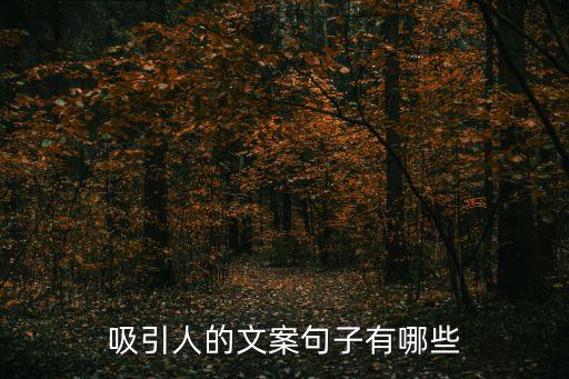 打動人心的文案，吸引人的文案句子有哪些