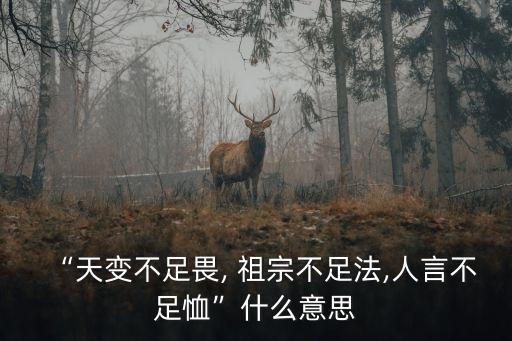 祖宗不足法,王安石名言:天時(shí)不足以懼祖宗法律不足人言不足