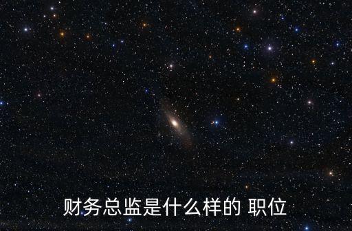 財務總監是什么樣的 職位