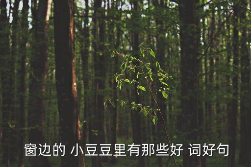 窗邊的小豆豆好詞好句,第二集:小豆bean的心情筆記（一）