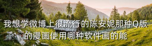 陳安妮，一個女孩創業的故事用漫畫的形式展現的最后研究誕生了一個app 叫