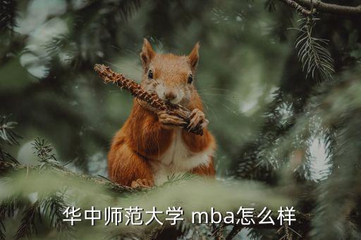 華中師范大學 mba怎么樣