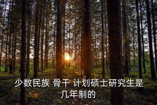 少數民族骨干計劃