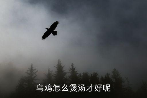 烏雞怎么煲湯才好呢