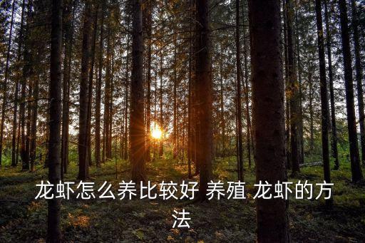 龍蝦養(yǎng)殖,養(yǎng)殖龍蝦注意事項(xiàng)!