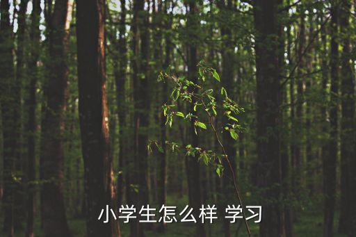  小學(xué)生怎么樣 學(xué)習(xí)