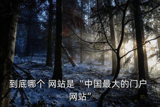到底哪個(gè) 網(wǎng)站是“中國(guó)最大的門戶 網(wǎng)站”
