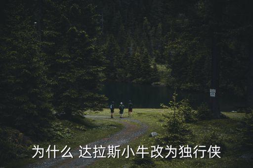 為什么 達拉斯小牛改為獨行俠