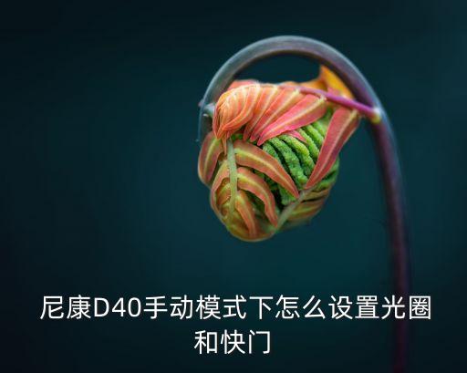  尼康D40手動模式下怎么設置光圈和快門