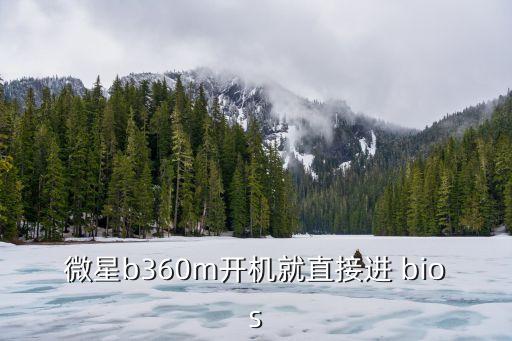 微星進bios,如何進入msi設置?