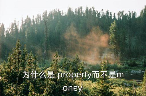 property是什么意思,武漢出現第一起確診病例