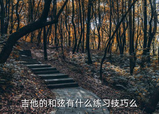 吉他和弦練習(xí)方法，吉他的和弦有什么練習(xí)技巧么