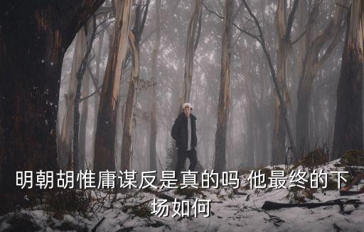 明朝胡惟庸謀反是真的嗎 他最終的下場如何