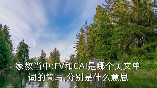cai是什么意思,武漢出現第二起疑似病例警方正在調查