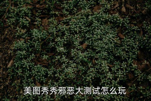 美圖秀秀邪惡大測試怎么玩