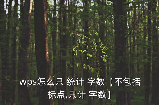 wps字數統計,如何統計全篇字數?