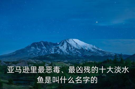 亞馬遜鲇魚,關于亞馬遜river你必須知道的事