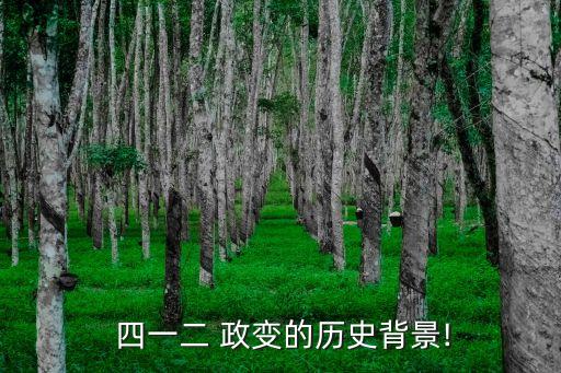  四一二 政變的歷史背景!