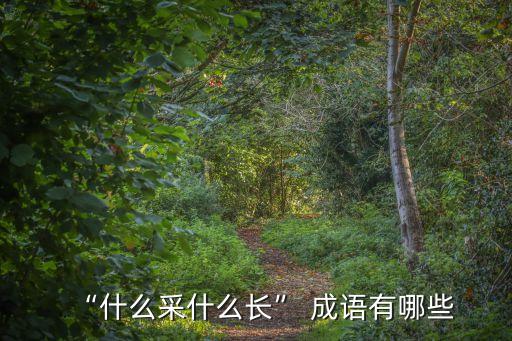 采的成語,采風訪俗馬國女導演挑戰(zhàn)傳統(tǒng)文化習俗
