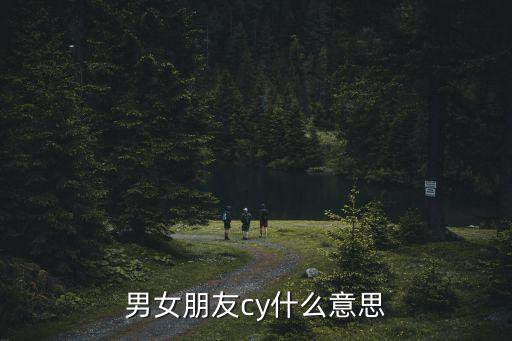 cy啥意思，游戲問(wèn)道里邊的CY是什么意思