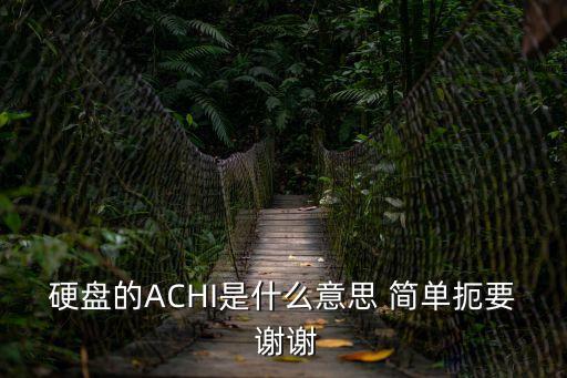 硬盤的ACHI是什么意思 簡單扼要 謝謝