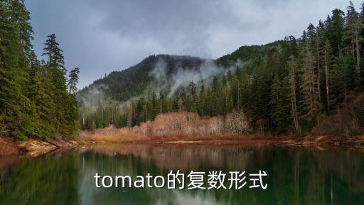 tomato復數，tomato的復數形式