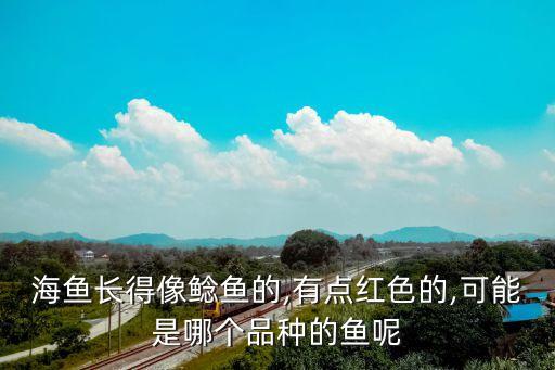 海魚長得像鯰魚的,有點紅色的,可能是哪個品種的魚呢