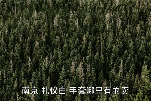 南京 禮儀白 手套哪里有的賣