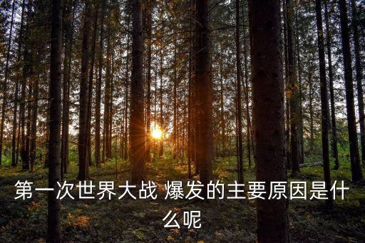 第一次世界大戰 爆發的主要原因是什么呢