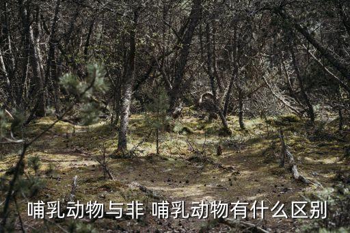 什么是哺乳動物,哺乳動物:用肺呼吸和靠乳汁哺育后代