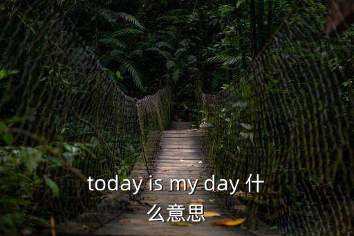 今天我做主，today is my day 什么意思