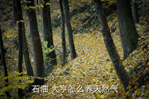 石油大亨,馬國石油大亨用馬車運輸石油游戲結束后發現均價3