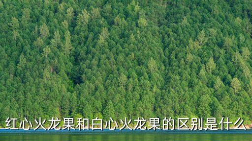 白心火龍果，紅心火龍果和白心火龍果的區別