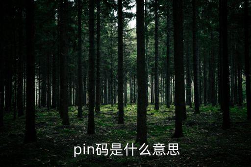 pin什么意思,路由器pin碼是什么意思?