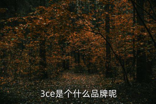  3ce是個什么品牌呢