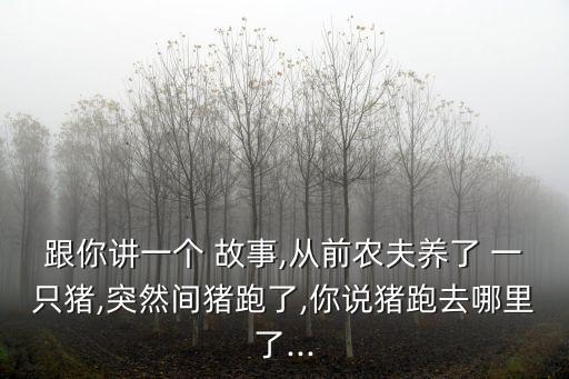 一只豬的故事,八戒調戲嫦娥誤投豬胎唐僧取經腦筋急轉彎