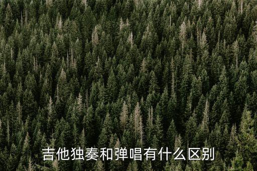 吉他獨奏和彈唱有什么區別