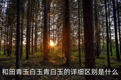 和田青玉白玉青白玉的詳細區別是什么
