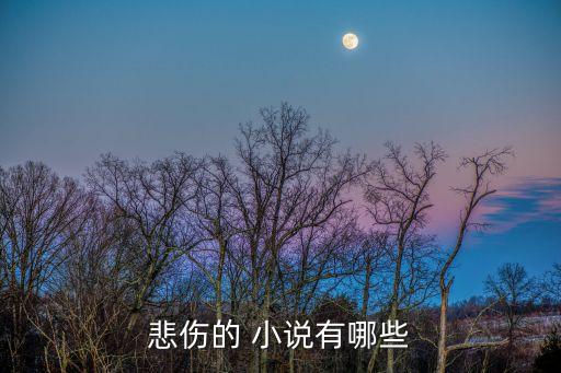 悲傷的 小說(shuō)有哪些