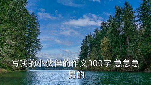寫我的小伙伴的作文300字 急急急 男的
