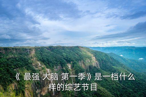 《 最強 大腦 第一季》是一檔什么樣的綜藝節目
