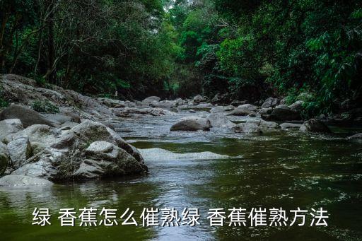 綠香蕉,未成熟香蕉味道較澀一般需七天熟