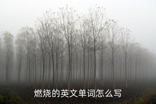 燃燒英文，火的英文
