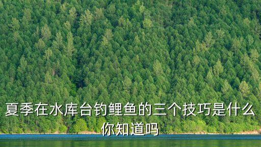 夏季在水庫臺釣鯉魚的三個技巧是什么你知道嗎
