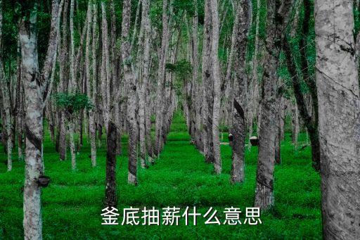 釜底抽薪的近義詞,釜底抽薪衍生習語:水壺:古壺；