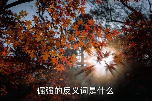 倔強的反義詞是什么