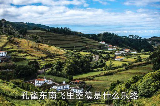 箜篌，孔雀東南飛里箜篌是什么樂器