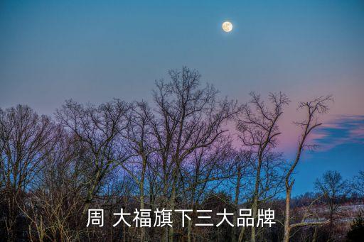 周大福集團(tuán),周大福珠寶金店和星大福區(qū)別（1）